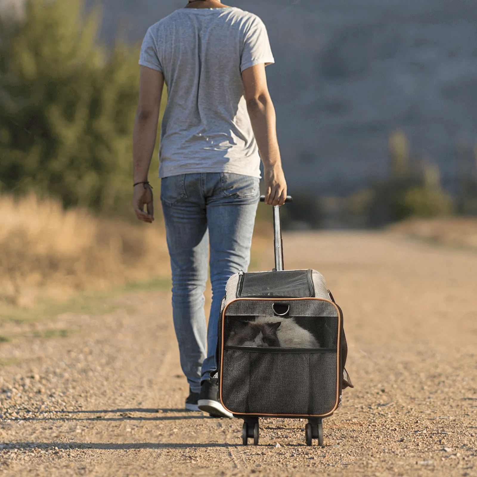 Airline-Approved Pet Carrier with Wheels