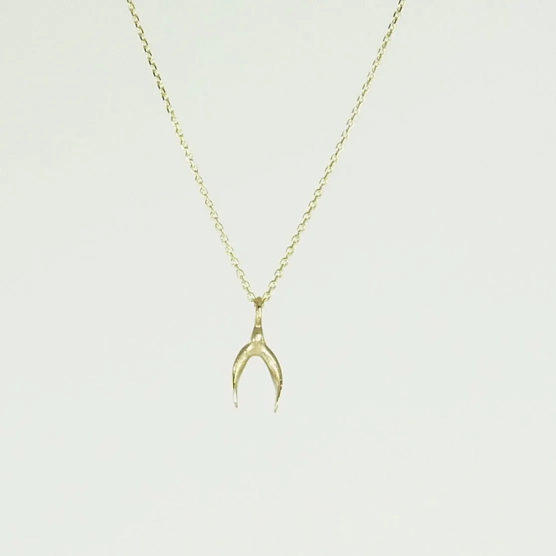 Delicate Gold Wishbone Necklace