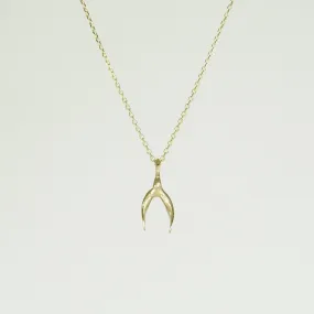 Delicate Gold Wishbone Necklace