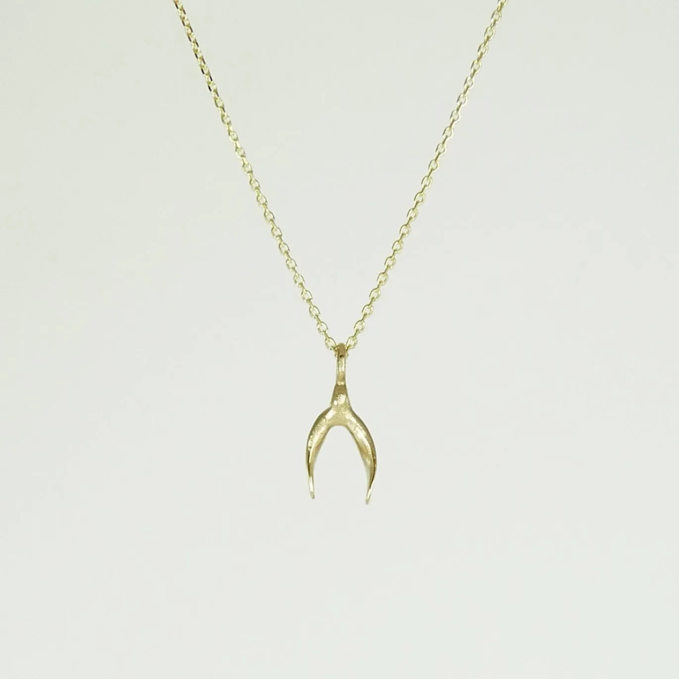 Delicate Gold Wishbone Necklace