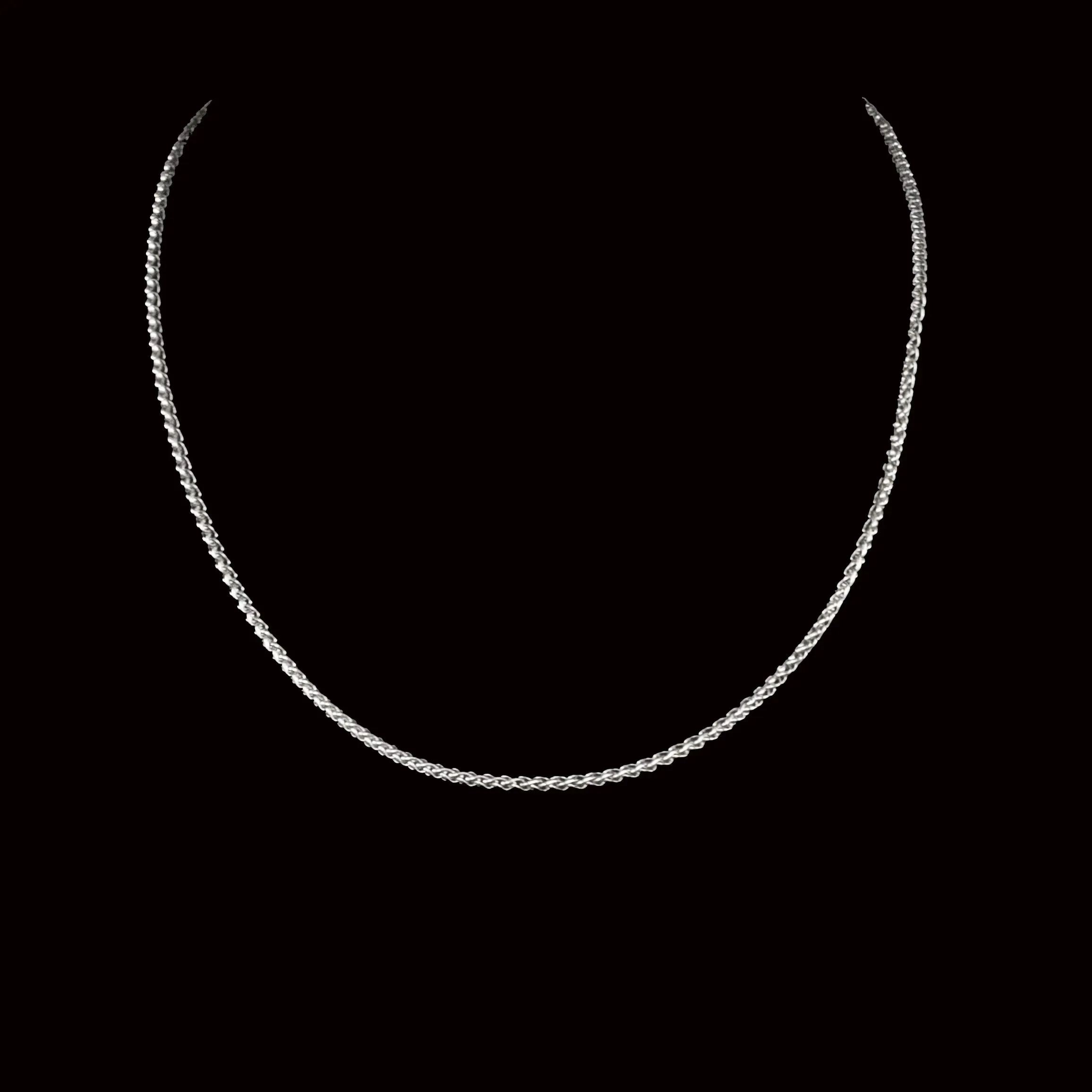 Eliseao Stainless Steel Spiga Chain Necklace