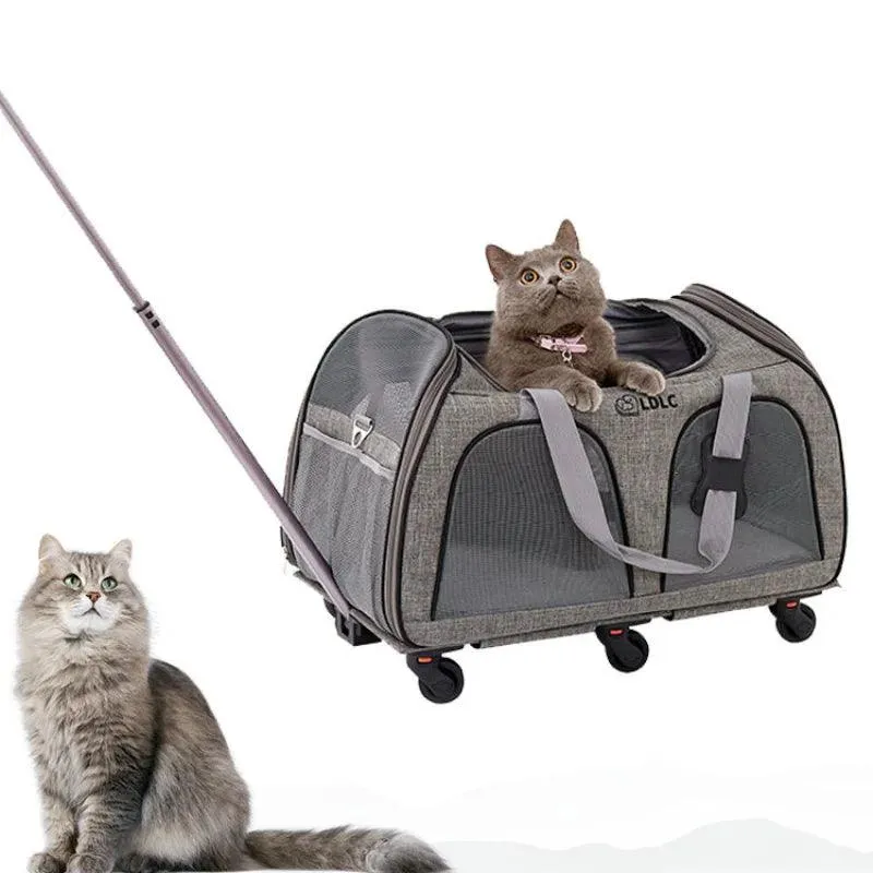 Maine Coon / Multi Cat Trolley - Large-Capacity Carrier