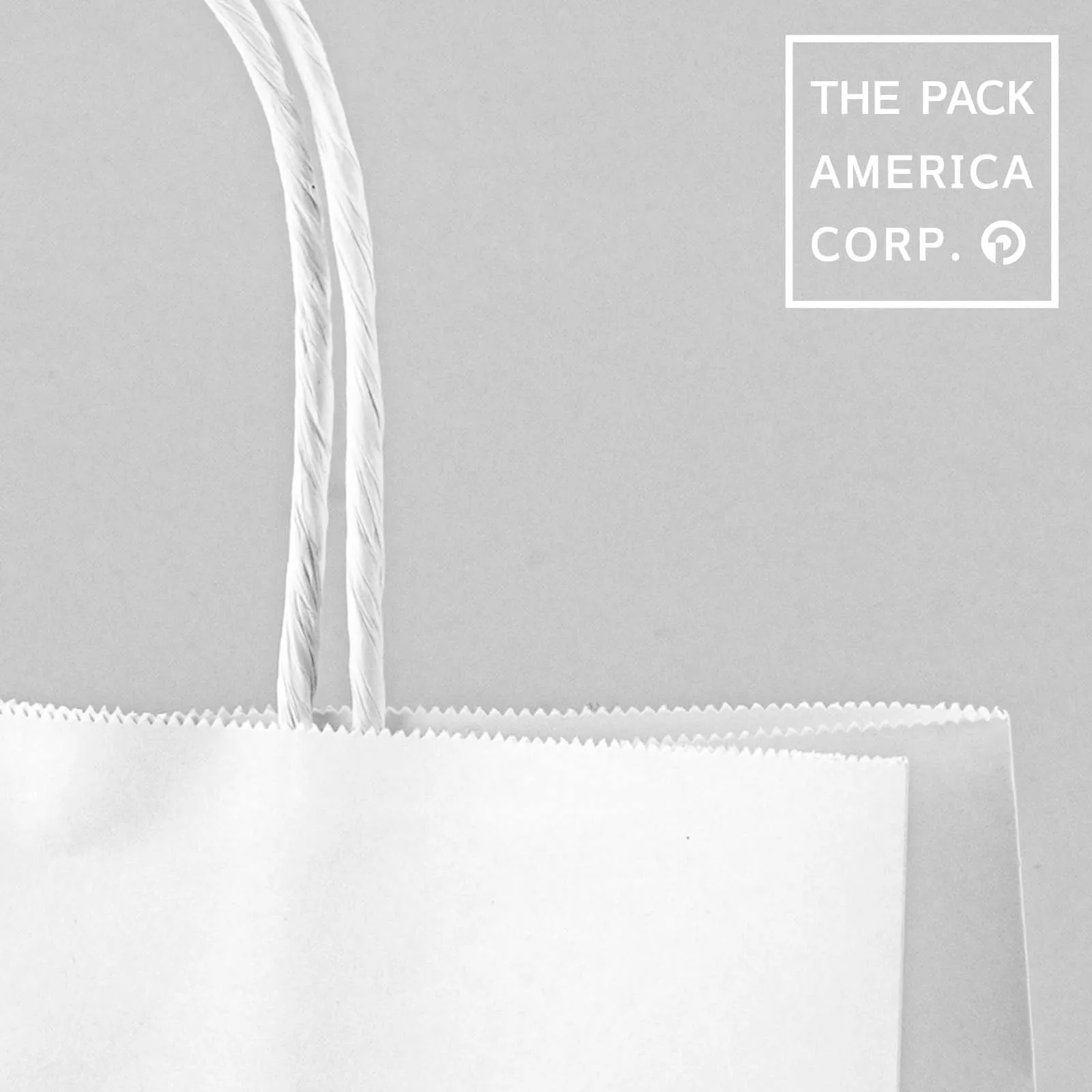 Serrated top paper shopping bag with twisted rope handles